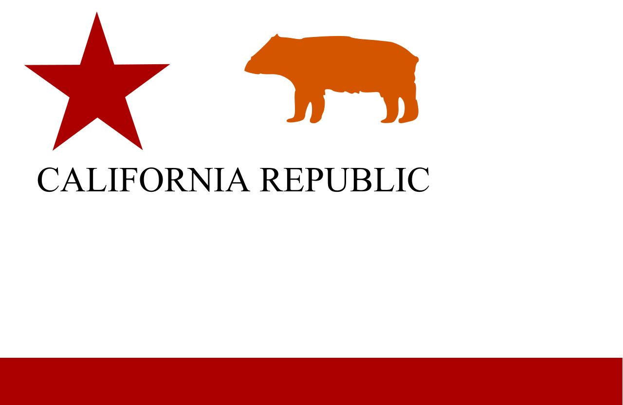 First flag of California
