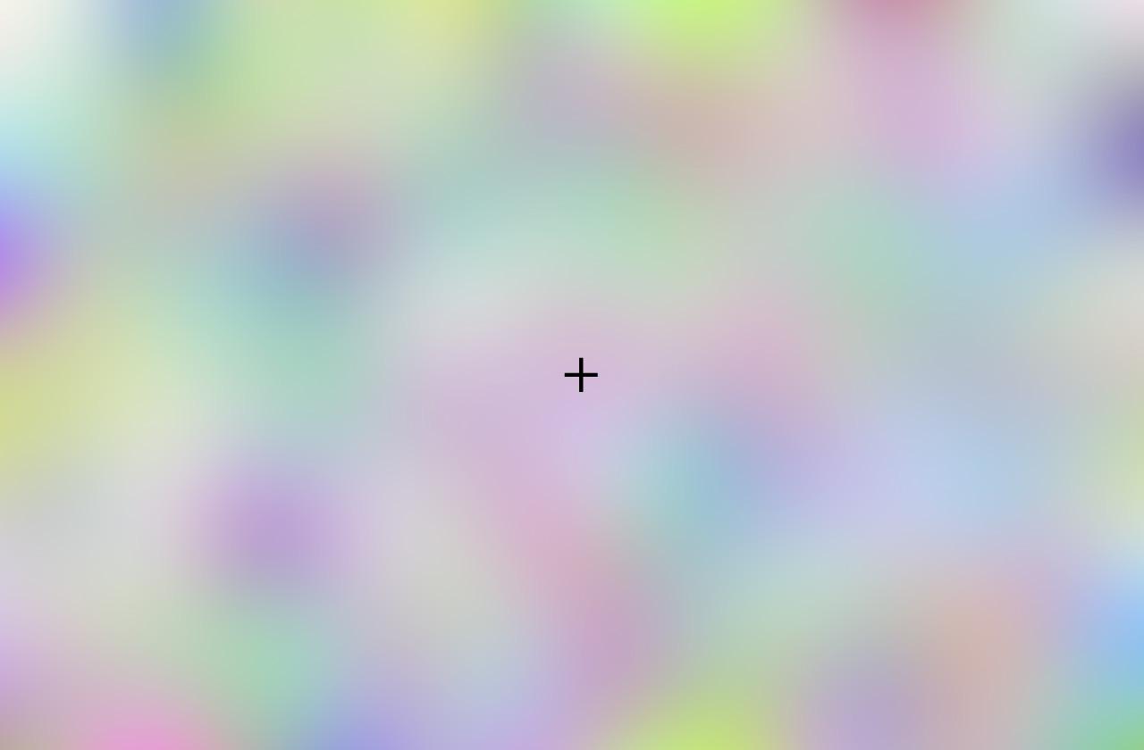 Image did not load